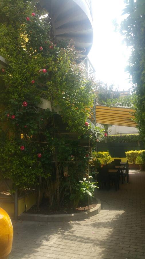 Hotel Illi Марина-ди-Масса Экстерьер фото